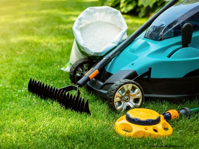 Summer Lawn Fertilization: When Hot Weather Is Good or Bad for Your Turf