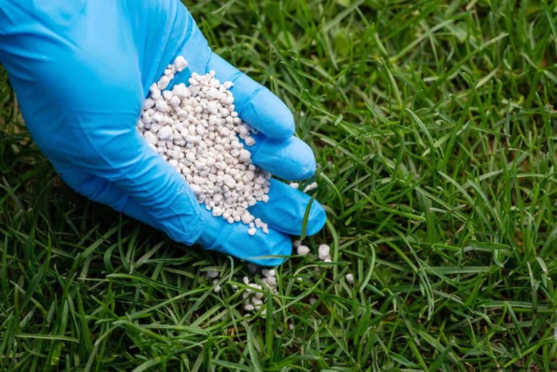Summer Lawn Fertilization: When Hot Weather Is Good or Bad for Your Turf