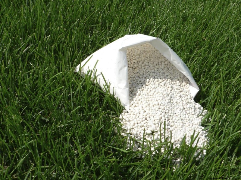 Summer Lawn Fertilization: When Hot Weather Is Good or Bad for Your Turf
