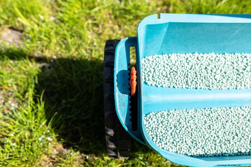 Summer Lawn Fertilization: When Hot Weather Is Good or Bad for Your Turf
