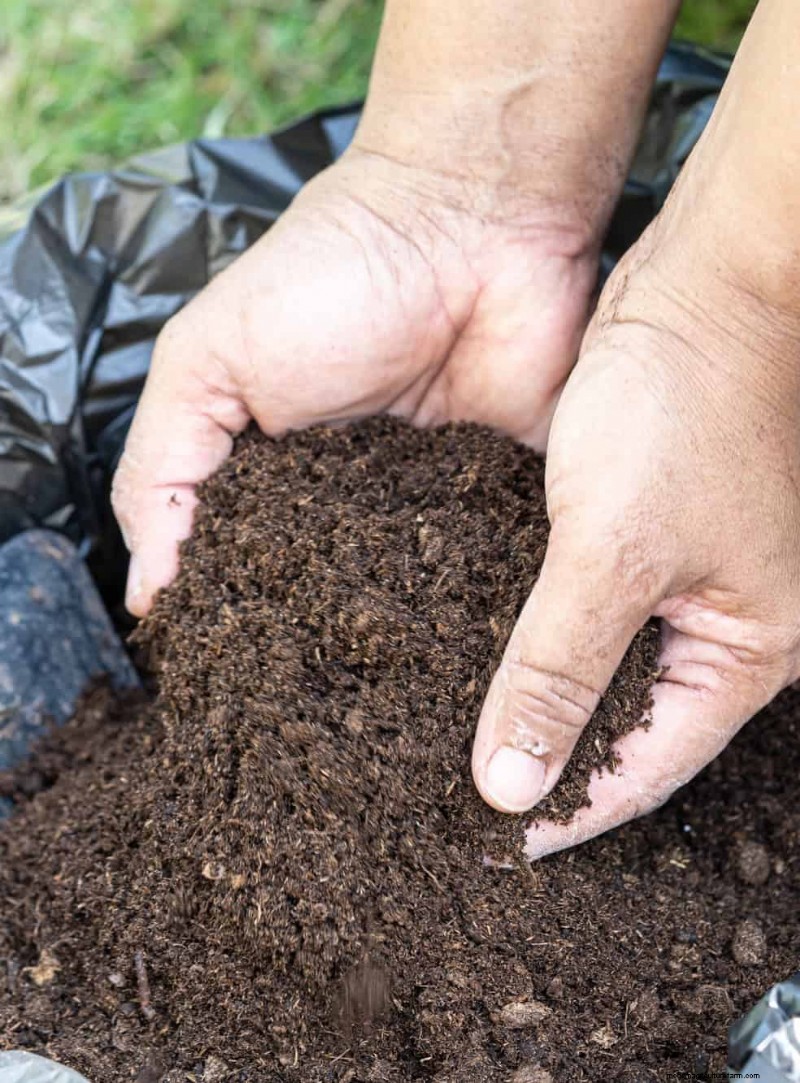 Summer Lawn Fertilization: When Hot Weather Is Good or Bad for Your Turf