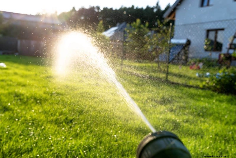 Summer Lawn Fertilization: When Hot Weather Is Good or Bad for Your Turf