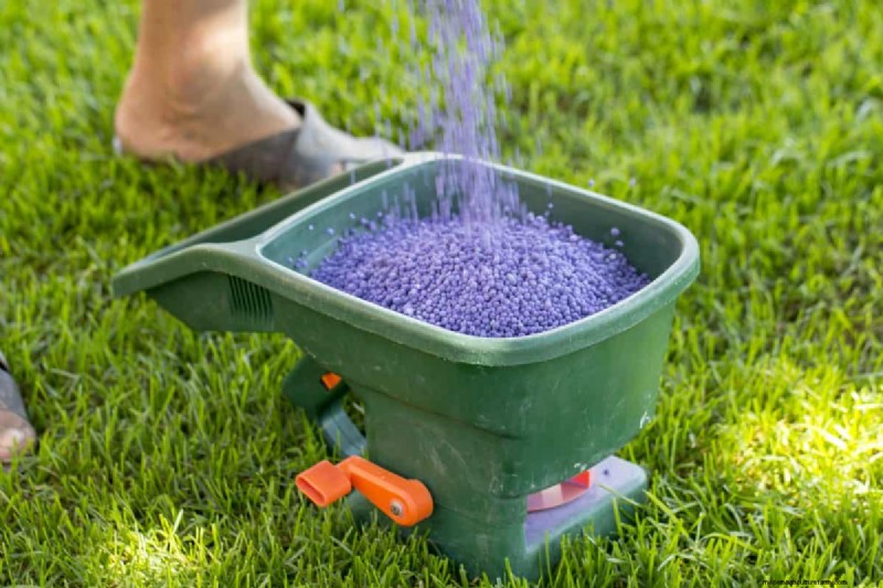 Summer Lawn Fertilization: When Hot Weather Is Good or Bad for Your Turf