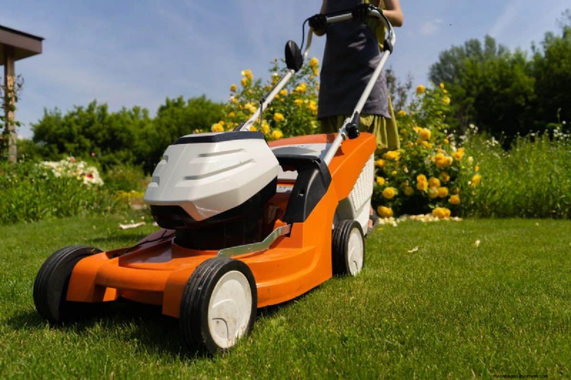 Summer Lawn Fertilization: When Hot Weather Is Good or Bad for Your Turf