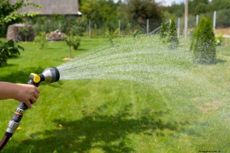 Summer Lawn Fertilization: When Hot Weather Is Good or Bad for Your Turf