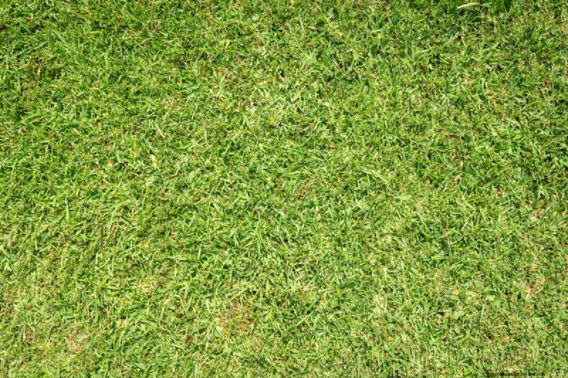 Summer Lawn Fertilization: When Hot Weather Is Good or Bad for Your Turf