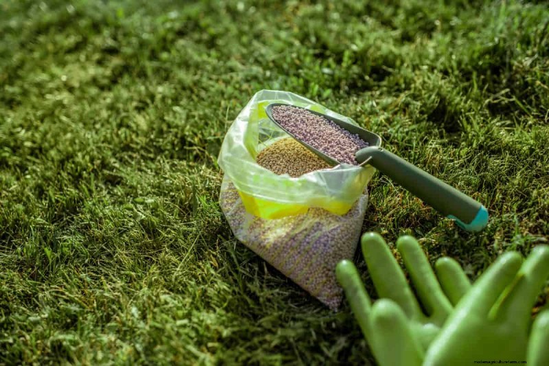 Summer Lawn Fertilization: When Hot Weather Is Good or Bad for Your Turf