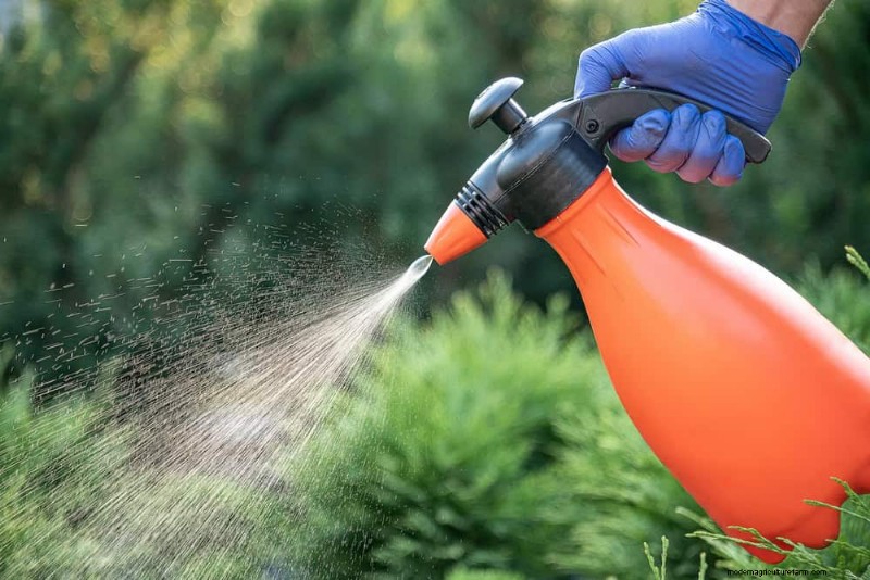 Grow a Butterfly Bush That Attracts Pollinators: A Step‑by‑Step Guide