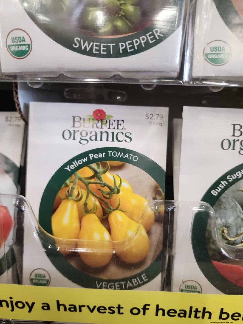 Home Depot’s Must‑Try Tomato Varieties: From Ready‑to‑Plant to Heirloom Seeds