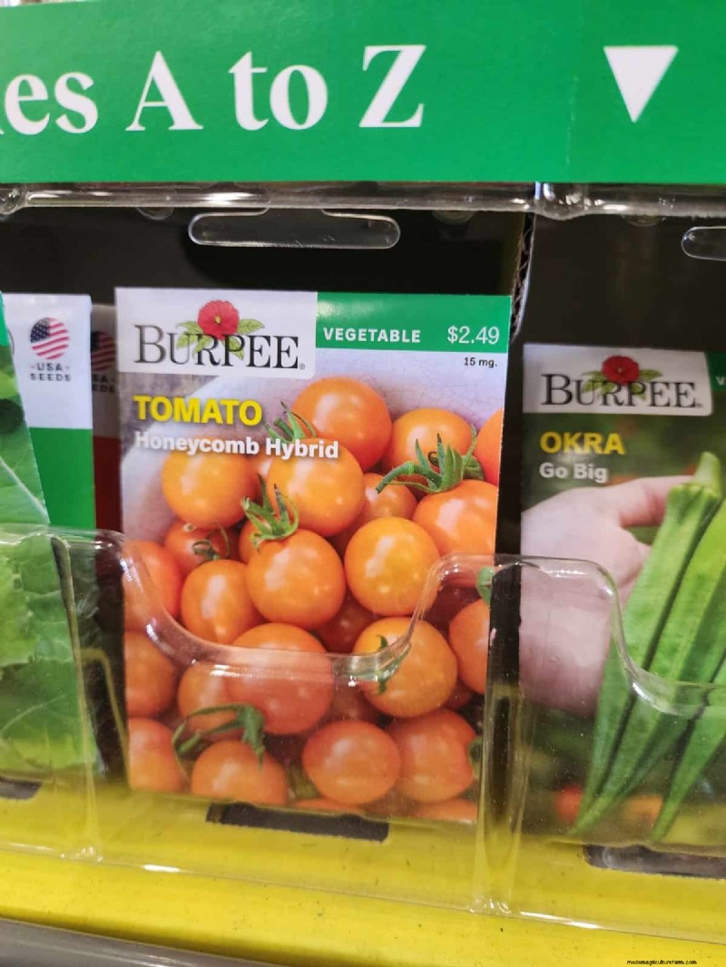 Home Depot’s Must‑Try Tomato Varieties: From Ready‑to‑Plant to Heirloom Seeds