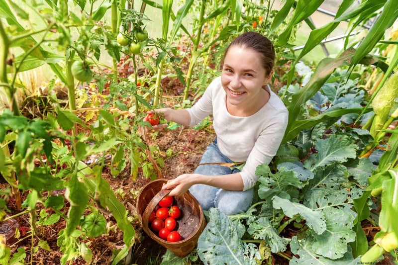 21 Expert Tomato Tips for Bigger Harvests and Fewer Problems
