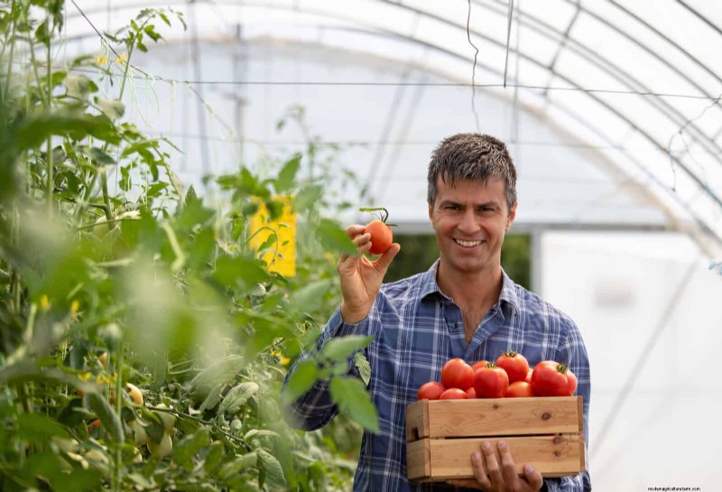 21 Expert Tomato Tips for Bigger Harvests and Fewer Problems