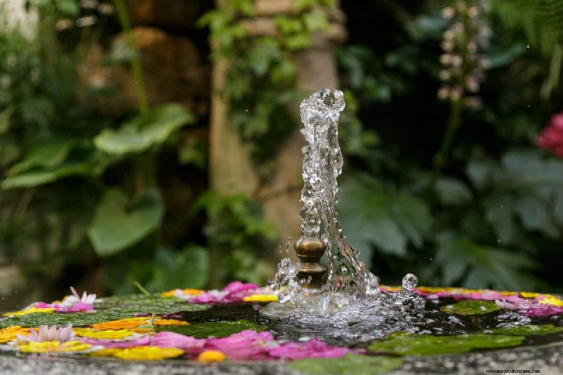 23 Expert Tips to Transform Your Backyard into a Wellness Retreat