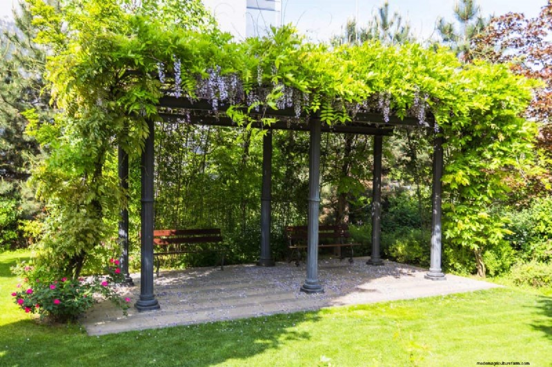 23 Expert Tips to Transform Your Backyard into a Wellness Retreat