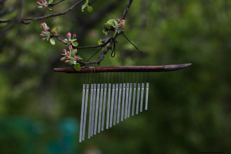 23 Expert Tips to Transform Your Backyard into a Wellness Retreat
