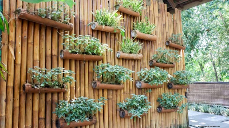 23 Expert Tips to Transform Your Backyard into a Wellness Retreat