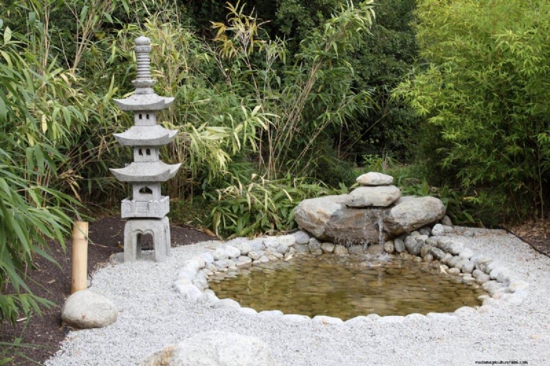 23 Expert Tips to Transform Your Backyard into a Wellness Retreat