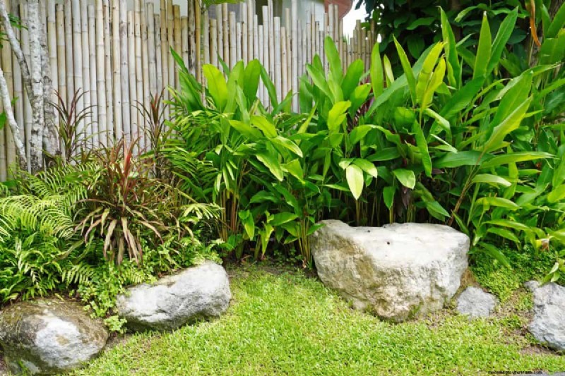23 Expert Tips to Transform Your Backyard into a Wellness Retreat