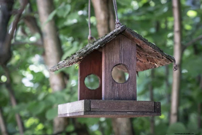 23 Expert Tips to Transform Your Backyard into a Wellness Retreat