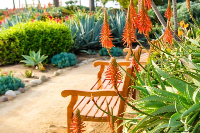 23 Expert Tips to Transform Your Backyard into a Wellness Retreat