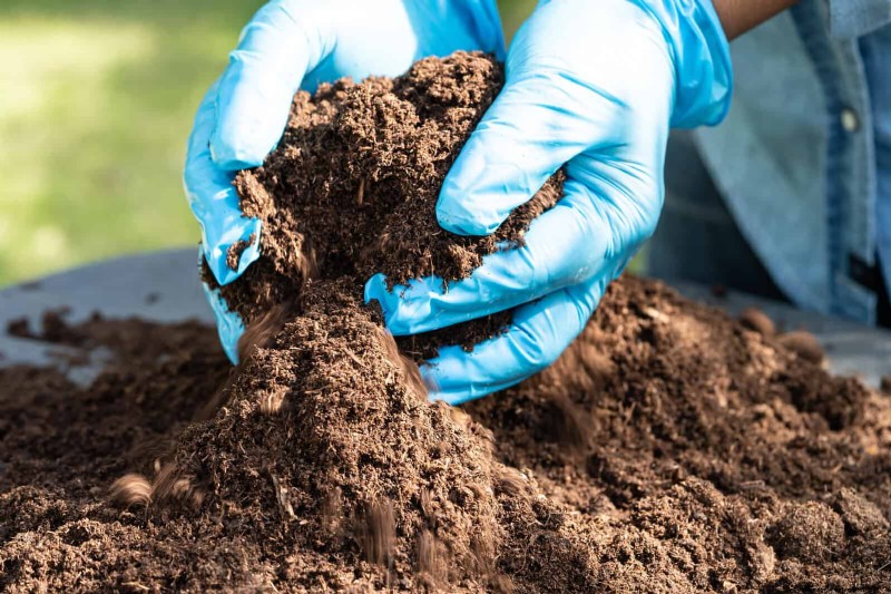 The Hidden Dangers of Neglecting Soil Refresh: Why Regular Soil Renewal Is Essential
