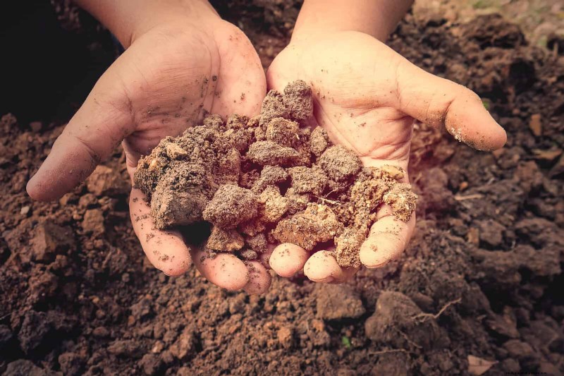 The Hidden Dangers of Neglecting Soil Refresh: Why Regular Soil Renewal Is Essential