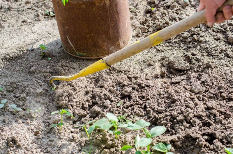 The Hidden Dangers of Neglecting Soil Refresh: Why Regular Soil Renewal Is Essential