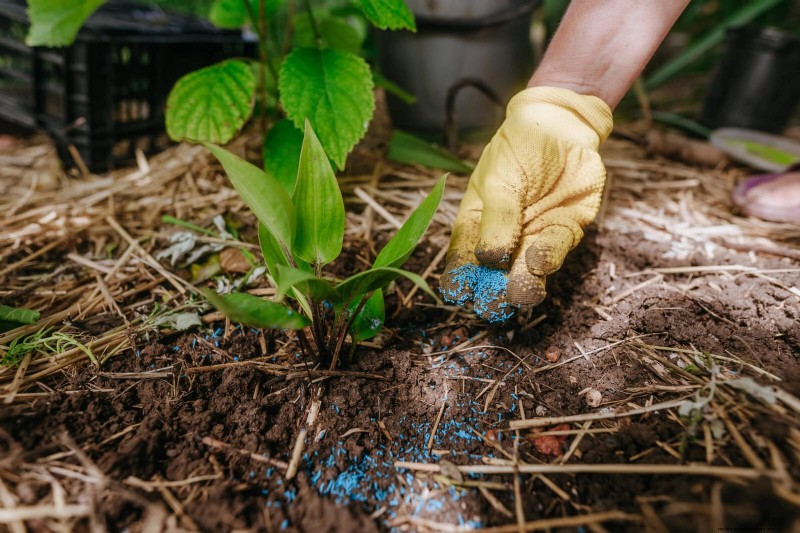The Hidden Dangers of Neglecting Soil Refresh: Why Regular Soil Renewal Is Essential