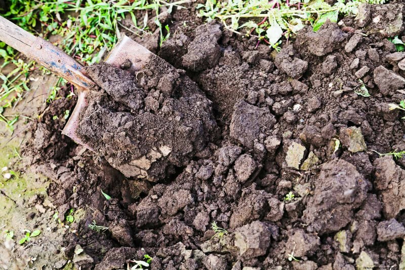 The Hidden Dangers of Neglecting Soil Refresh: Why Regular Soil Renewal Is Essential
