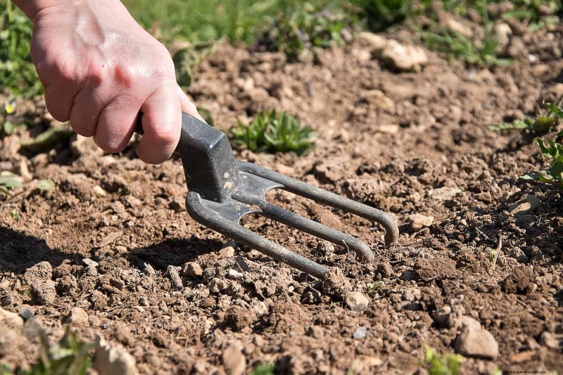 The Hidden Dangers of Neglecting Soil Refresh: Why Regular Soil Renewal Is Essential