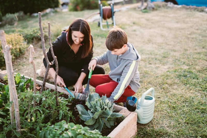 27 Expert Garden Transformations That Instantly Revitalize Your Yard