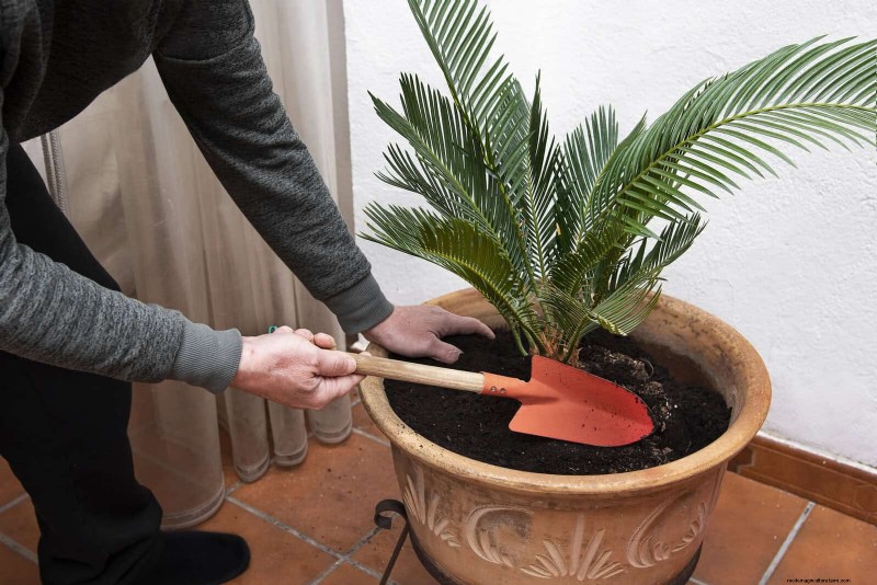 27 Expert Garden Transformations That Instantly Revitalize Your Yard