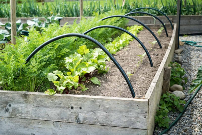27 Expert Garden Transformations That Instantly Revitalize Your Yard