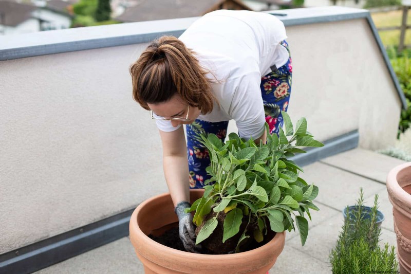 27 Expert Garden Transformations That Instantly Revitalize Your Yard
