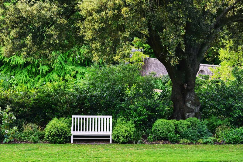 27 Expert Garden Transformations That Instantly Revitalize Your Yard