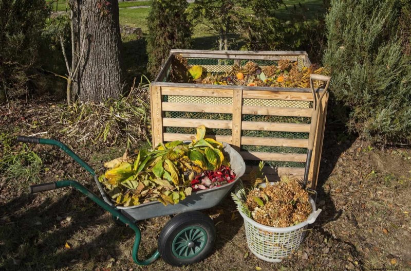 27 Expert Garden Transformations That Instantly Revitalize Your Yard