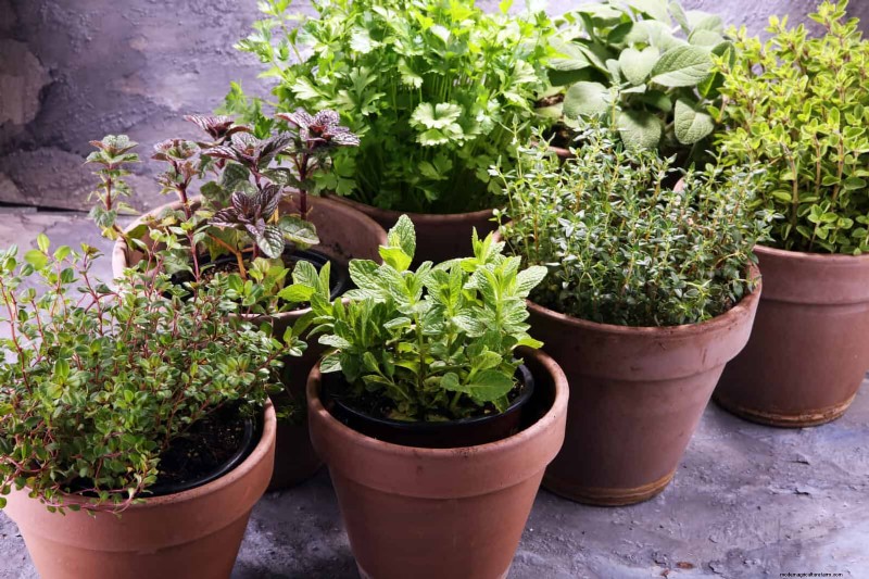 27 Expert Garden Transformations That Instantly Revitalize Your Yard