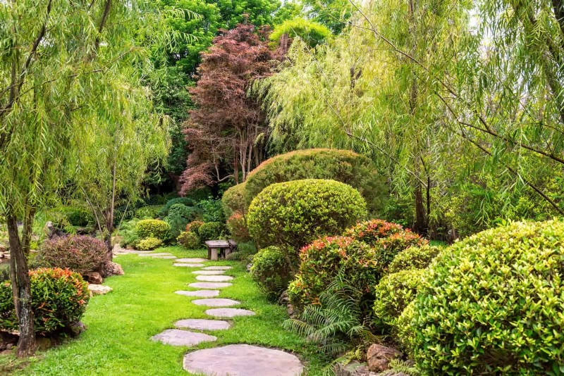 27 Expert Garden Transformations That Instantly Revitalize Your Yard