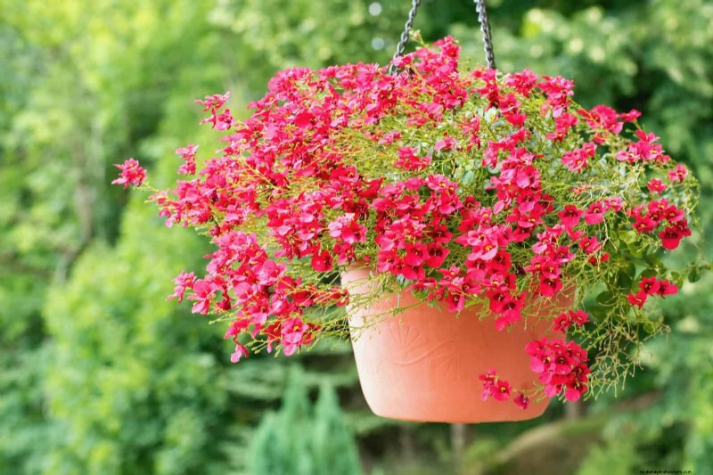 27 Expert Garden Transformations That Instantly Revitalize Your Yard
