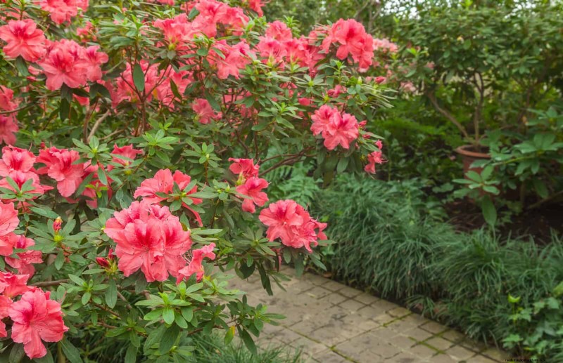 27 Expert Garden Transformations That Instantly Revitalize Your Yard