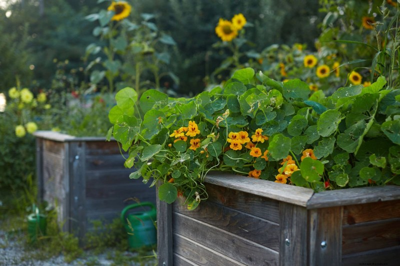 27 Expert Garden Transformations That Instantly Revitalize Your Yard