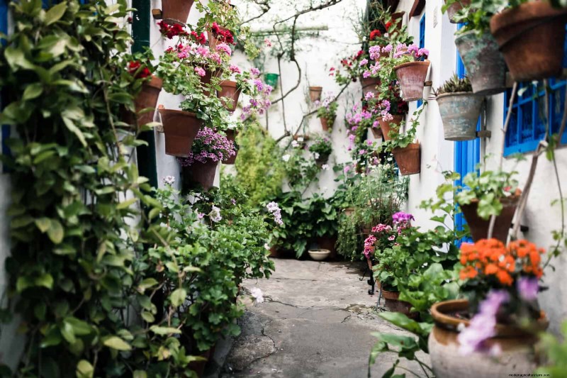 27 Expert Garden Transformations That Instantly Revitalize Your Yard