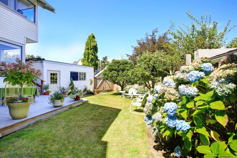 21 Proven Plant Strategies to Fix Common Backyard Challenges