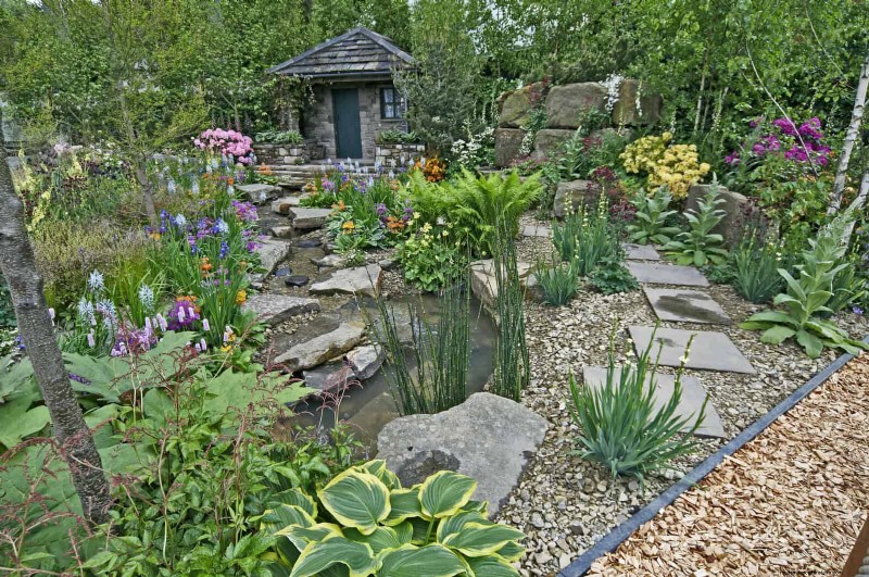 21 Proven Plant Strategies to Fix Common Backyard Challenges