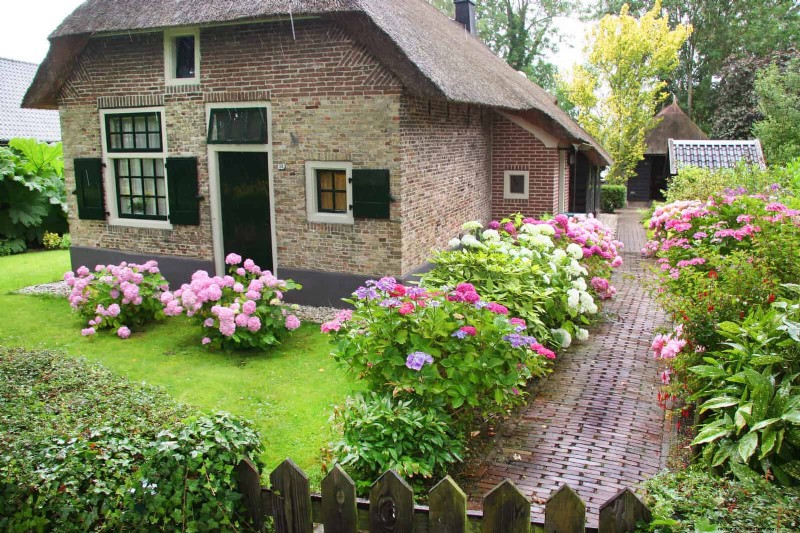 21 Proven Plant Strategies to Fix Common Backyard Challenges