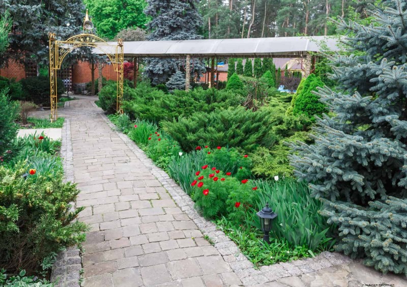21 Proven Plant Strategies to Fix Common Backyard Challenges