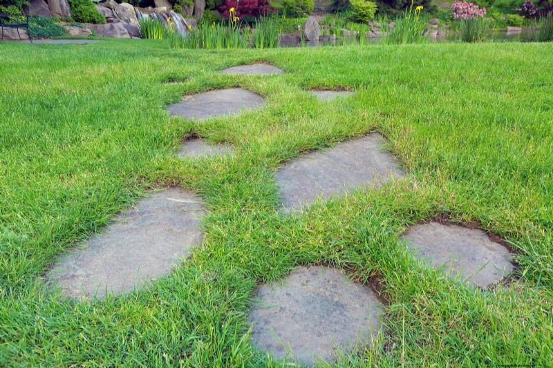 21 Proven Plant Strategies to Fix Common Backyard Challenges