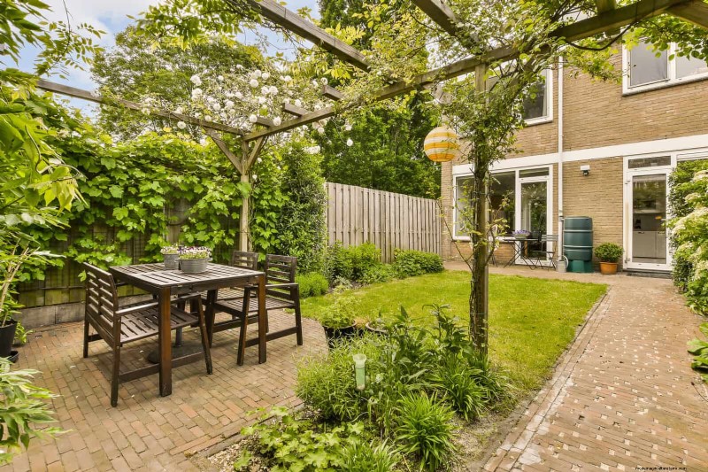 21 Proven Plant Strategies to Fix Common Backyard Challenges