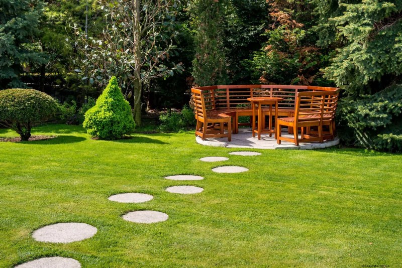 21 Proven Plant Strategies to Fix Common Backyard Challenges