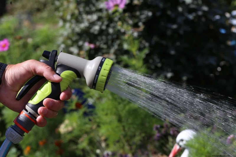 21 Proven Plant Strategies to Fix Common Backyard Challenges